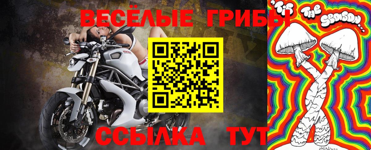 Новороссийск  Галлюциногенные грибы Magic Shrooms  Вход с VPN 